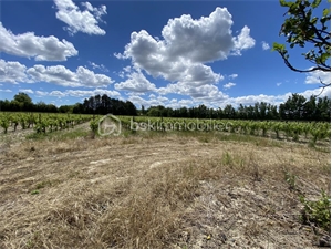 terrain agricole à la vente -   84120  PERTUIS, surface 30000 m2 vente terrain agricole - UBI428861972